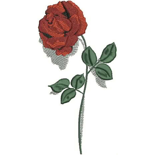 Rose Rose Roses Set - 5x7 - Products - SWAK Embroidery