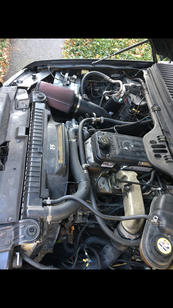 Ford Dealers Nj >> 2003 Ford F-350 Cummins swap | Find Diesel Trucks | Diesel ... Ford Dealers Nj >> 2003 Ford F-350 Cummins swap | Find Diesel Trucks | Diesel ...