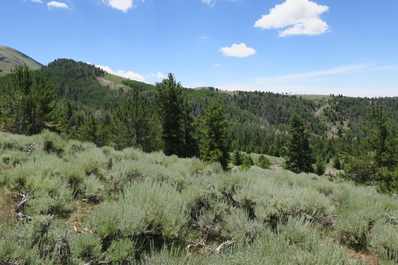 Properties Boulder Mountain Realty